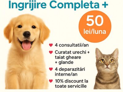 b1112309-7846-434a-af17-d044ea7dfc5f