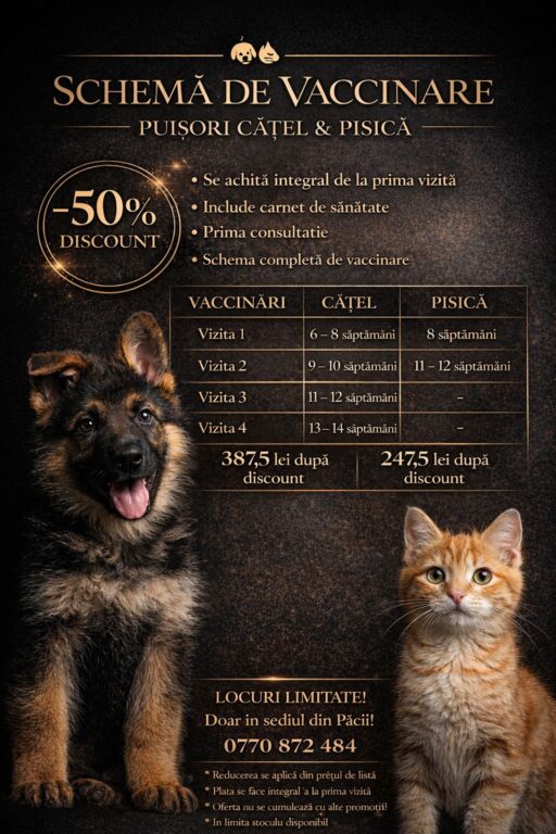 Oferte valabile până în Iunie 2026